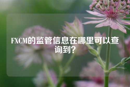 FXCM的监管信息在哪里可以查询到？