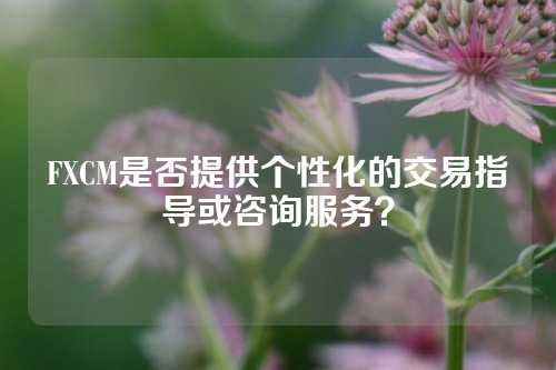 FXCM是否提供个性化的交易指导或咨询服务？