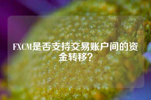 FXCM是否支持交易账户间的资金转移？