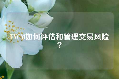 FXCM如何评估和管理交易风险？