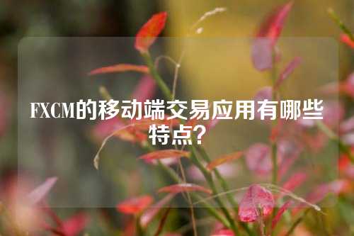 FXCM的移动端交易应用有哪些特点？