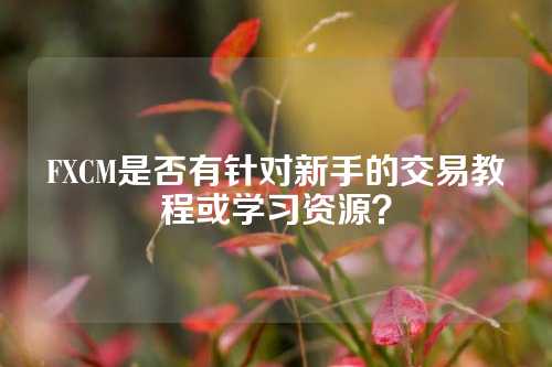 FXCM是否有针对新手的交易教程或学习资源？