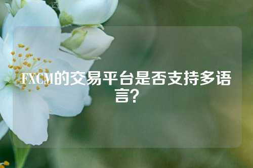 FXCM的交易平台是否支持多语言？