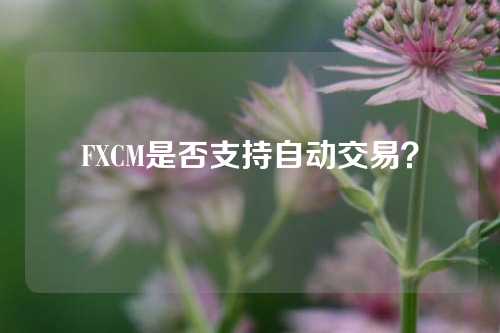 FXCM是否支持自动交易？