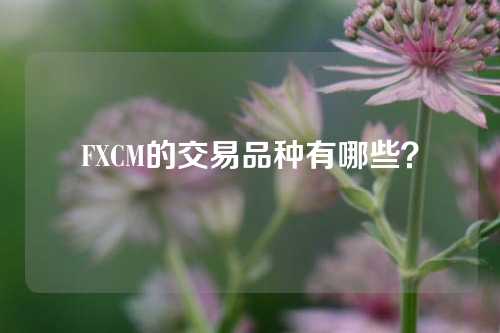 FXCM的交易品种有哪些？