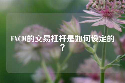 FXCM的交易杠杆是如何设定的？