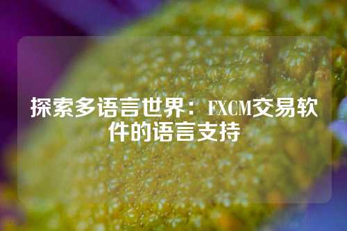 探索多语言世界：FXCM交易软件的语言支持