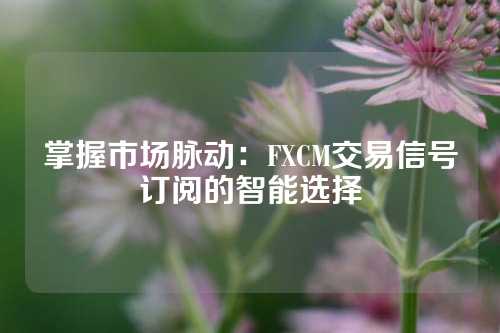 掌握市场脉动：FXCM交易信号订阅的智能选择