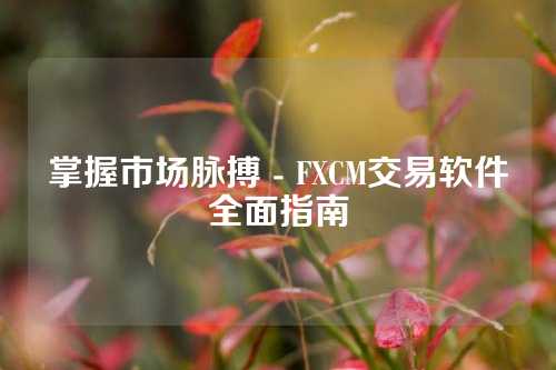 掌握市场脉搏 - FXCM交易软件全面指南