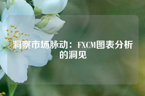 洞察市场脉动：FXCM图表分析的洞见