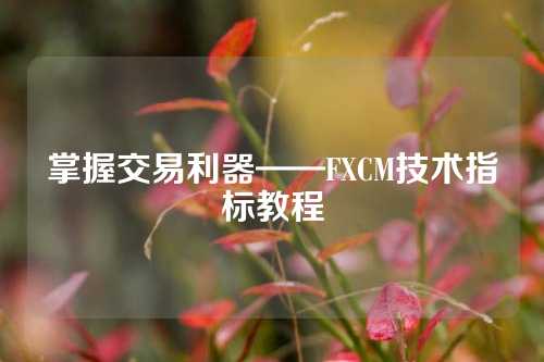 掌握交易利器——FXCM技术指标教程