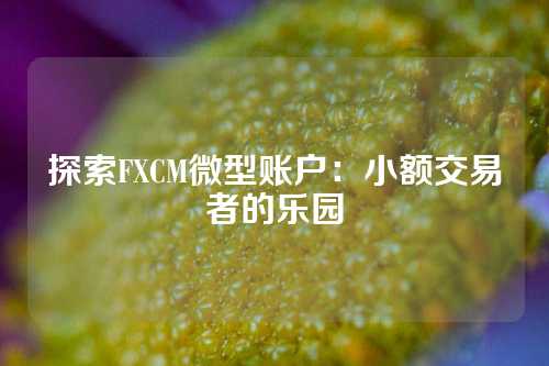 探索FXCM微型账户：小额交易者的乐园