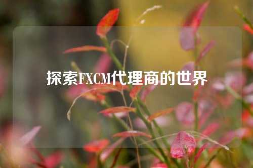 探索FXCM代理商的世界