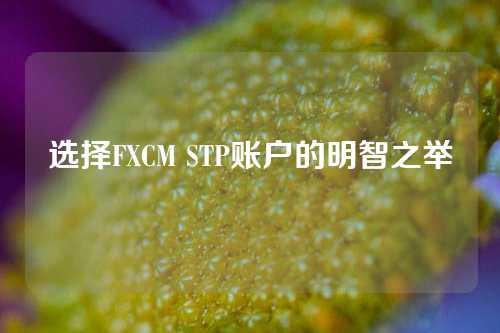 选择FXCM STP账户的明智之举