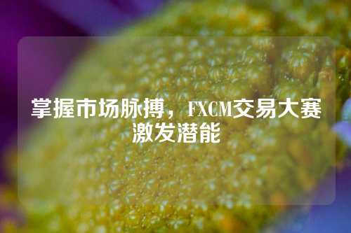 掌握市场脉搏，FXCM交易大赛激发潜能