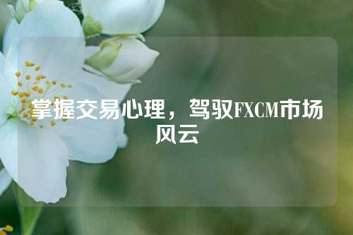 掌握交易心理，驾驭FXCM市场风云