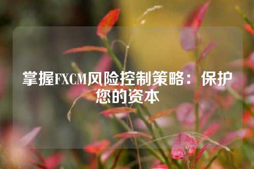 掌握FXCM风险控制策略：保护您的资本