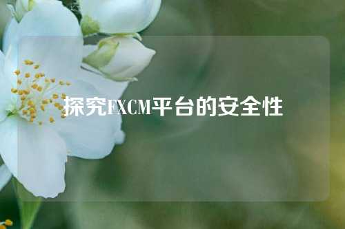 探究FXCM平台的安全性