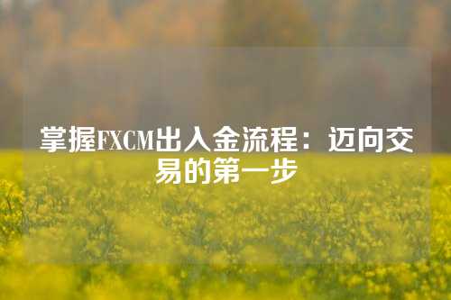 掌握FXCM出入金流程：迈向交易的第一步