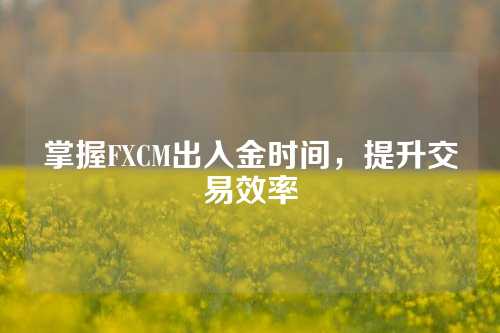 掌握FXCM出入金时间，提升交易效率