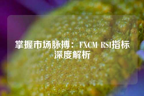 掌握市场脉搏：FXCM RSI指标深度解析