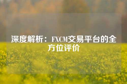 深度解析：FXCM交易平台的全方位评价