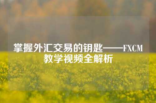 掌握外汇交易的钥匙——FXCM教学视频全解析