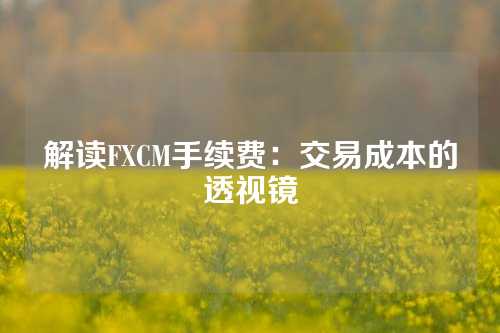 解读FXCM手续费：交易成本的透视镜