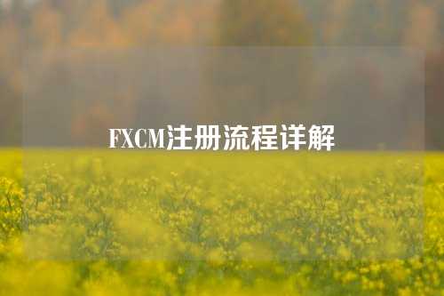 FXCM注册流程详解