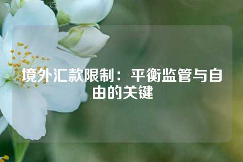 境外汇款限制：平衡监管与自由的关键