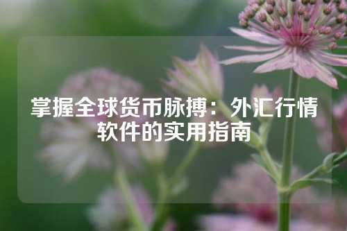 掌握全球货币脉搏：外汇行情软件的实用指南