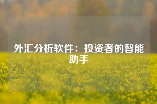 外汇分析软件：投资者的智能助手