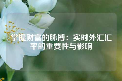 掌握财富的脉搏：实时外汇汇率的重要性与影响