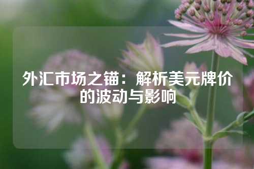 外汇市场之锚：解析美元牌价的波动与影响