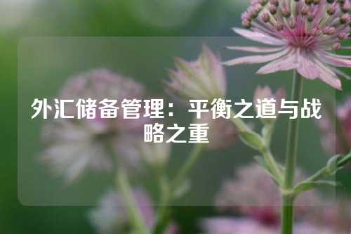 外汇储备管理：平衡之道与战略之重