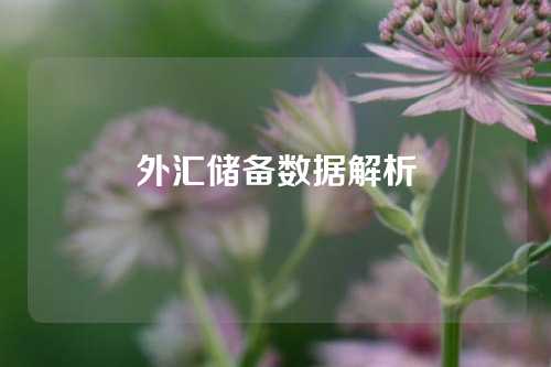 外汇储备数据解析