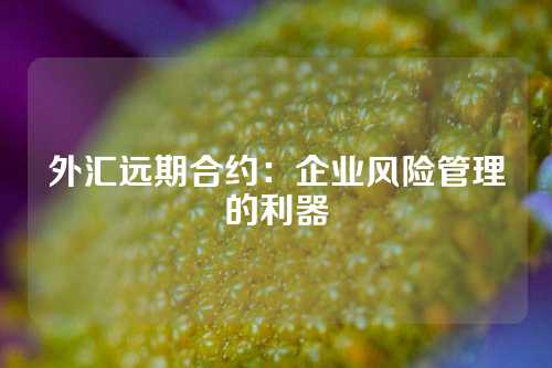 外汇远期合约：企业风险管理的利器