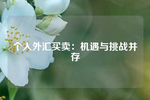 个人外汇买卖：机遇与挑战并存