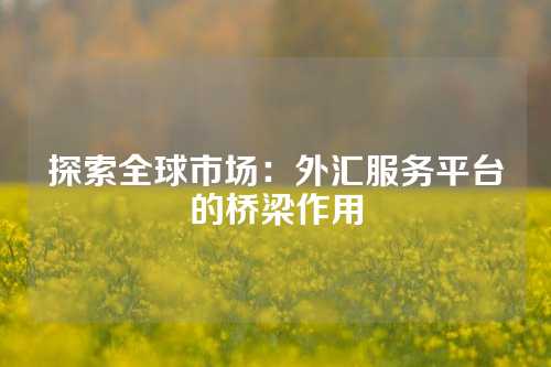 探索全球市场：外汇服务平台的桥梁作用