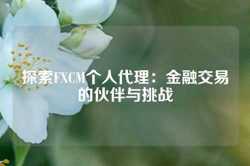 探索FXCM个人代理：金融交易的伙伴与挑战