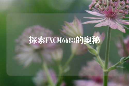 探索FXCM6688的奥秘