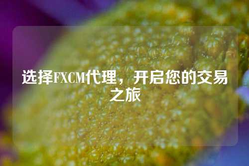 选择FXCM代理，开启您的交易之旅