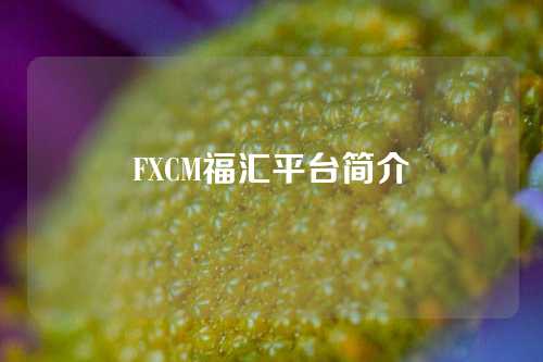 FXCM福汇平台简介