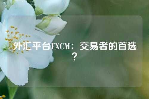 外汇平台FXCM：交易者的首选？