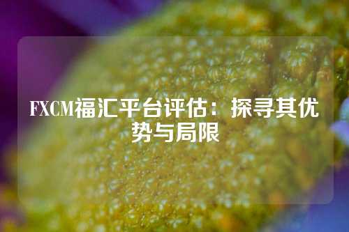 FXCM福汇平台评估：探寻其优势与局限