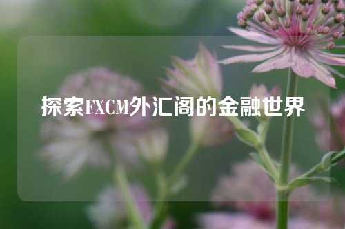 探索FXCM外汇阁的金融世界