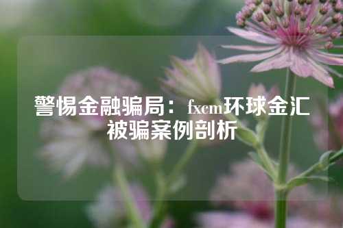 警惕金融骗局：fxcm环球金汇被骗案例剖析