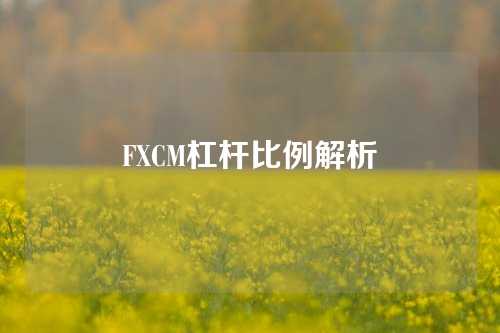 FXCM杠杆比例解析