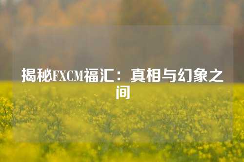 揭秘FXCM福汇：真相与幻象之间