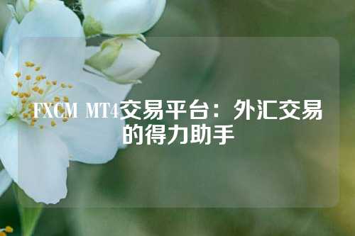 FXCM MT4交易平台：外汇交易的得力助手